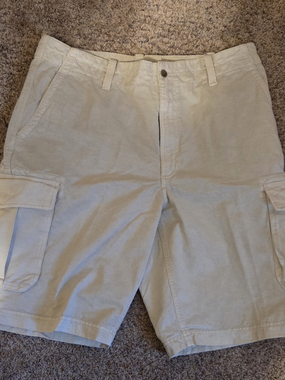 Caribbean Men's Cargo Shorts - Beige